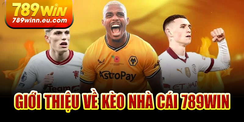 Giới thiệu về kèo nhà cái 789win